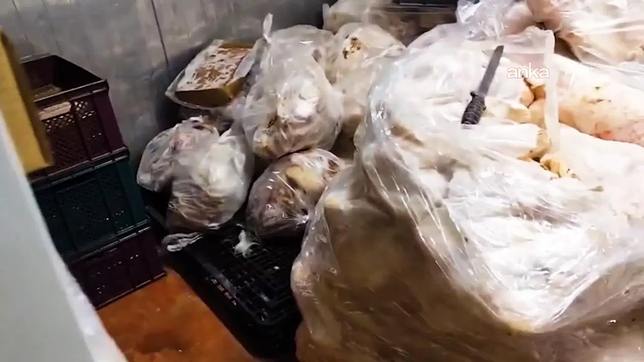 ankarada mide bulandiran saglik skandali bakanlik bin 316 kilogramini imha etti Y4f3JtaH