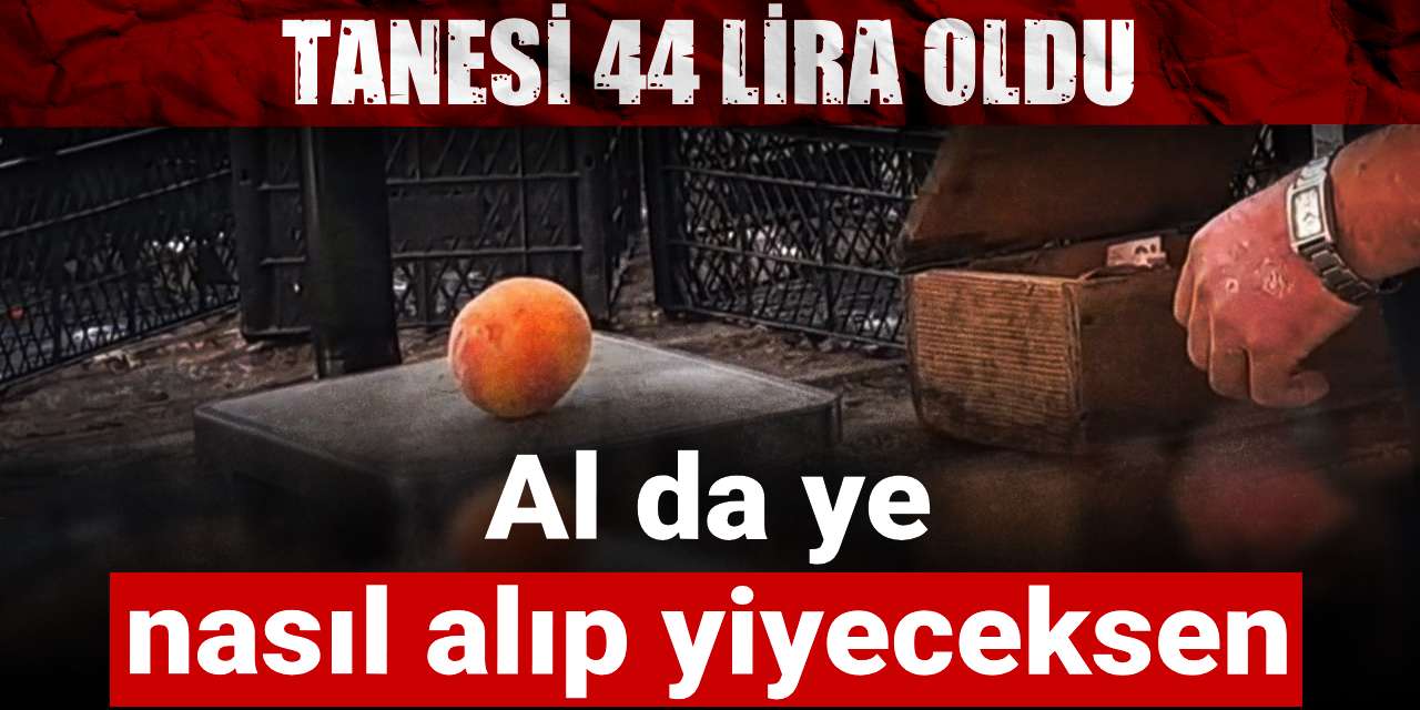 tanesi 44 lira al da ye nasil alip yiyeceksen 5JXkjjhp