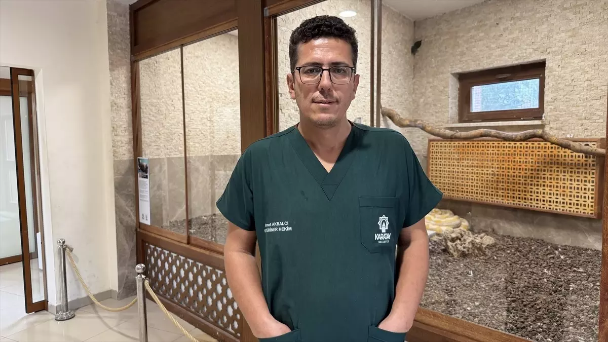 polis yavru pitonu hayvanat bahcesine teslim etti wp3lLb82.jpg